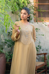 2 Piece Chiffon Suit (FR1035)